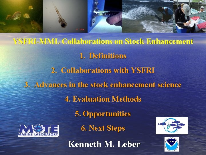 YSFRI-MML Collaborations on Stock Enhancement 1. Definitions 2. Collaborations with YSFRI 3. Advances in