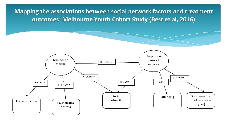 Mapping the associations between social network factors and treatment outcomes: Melbourne Youth Cohort Study