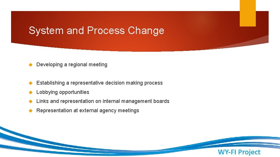 System and Process Change Developing a regional meeting Establishing a representative decision making process