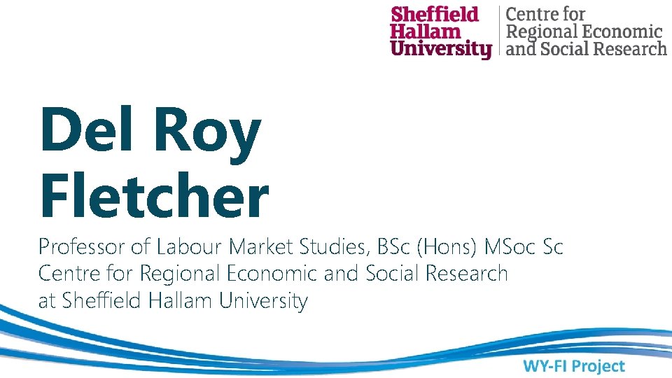 Del Roy Fletcher Professor of Labour Market Studies, BSc (Hons) MSoc Sc Centre for