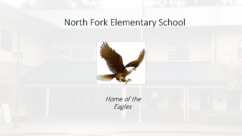 North Fork Elementary School Home of the Eagles 