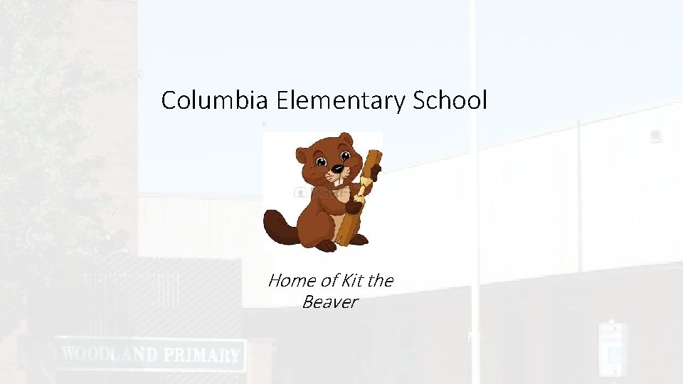 Columbia Elementary School Home of Kit the Beaver 