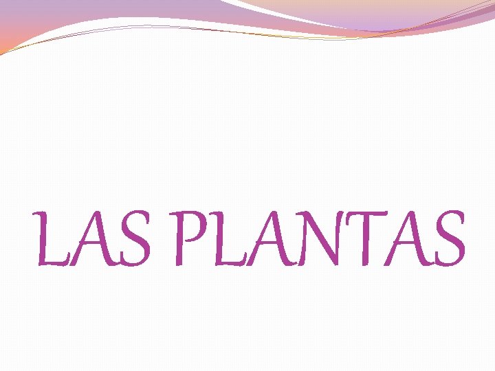 LAS PLANTAS 