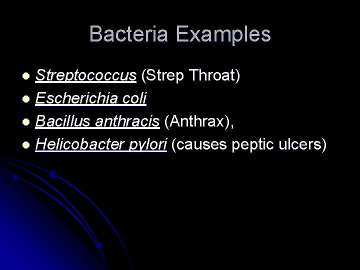 Bacteria Examples Streptococcus (Strep Throat) l Escherichia coli l Bacillus anthracis (Anthrax), l Helicobacter
