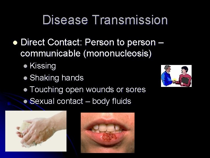 Disease Transmission l Direct Contact: Person to person – communicable (mononucleosis) l Kissing l