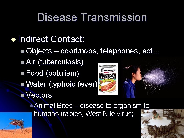Disease Transmission l Indirect Contact: l Objects – doorknobs, telephones, ect. . . l