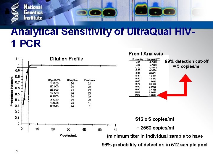 Analytical Sensitivity of Ultra. Qual HIV 1 PCR Dilution Profile Probit Analysis 99% detection