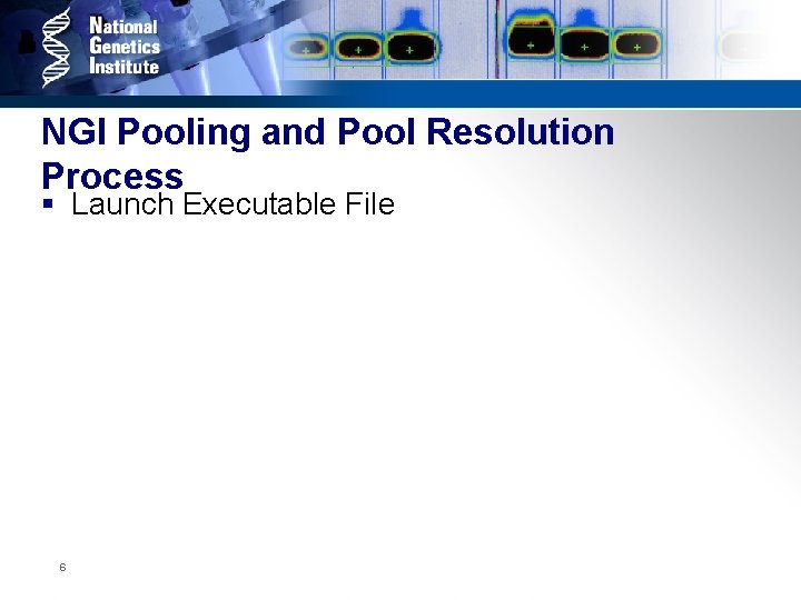 NGI Pooling and Pool Resolution Process § Launch Executable File 6 