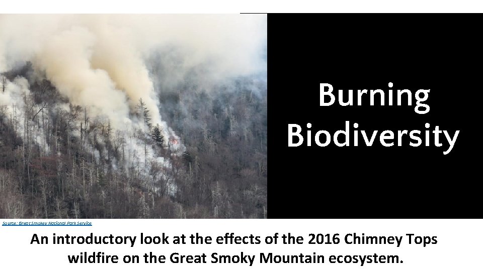 Burning Biodiversity Source: Great Smokey National Park Service An introductory look at the effects