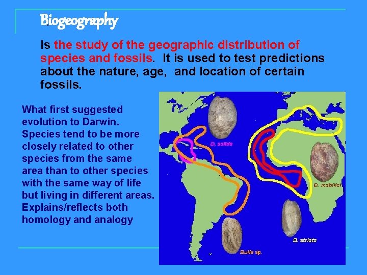 Evolution Part 1 Natural Selection Charles Darwin 1809
