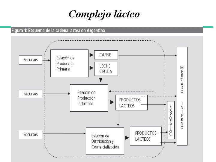 Complejo lácteo 