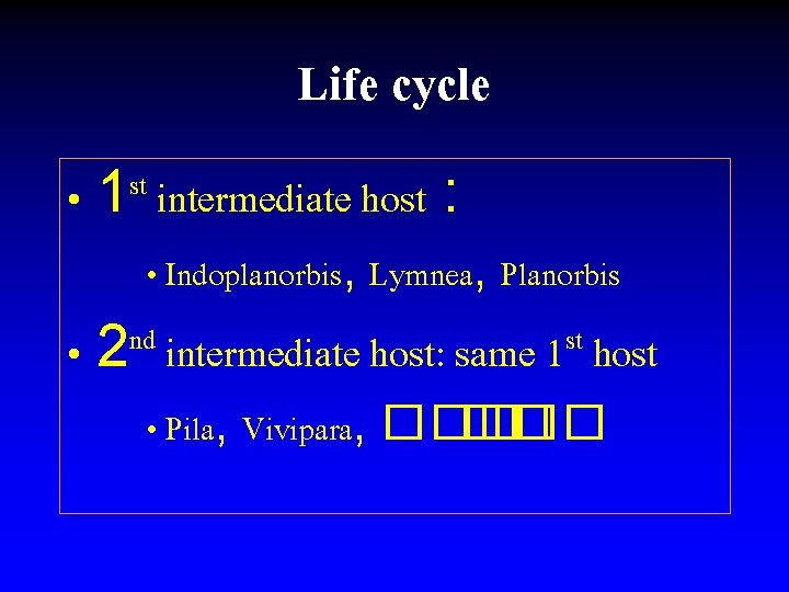 Life cycle • st 1 intermediate host : • Indoplanorbis, Lymnea, Planorbis • nd