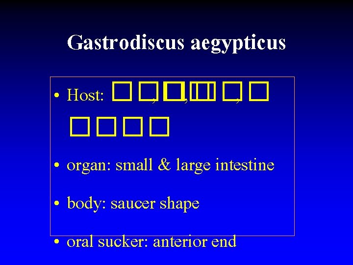Gastrodiscus aegypticus • Host: ��� , ���� • organ: small & large intestine •