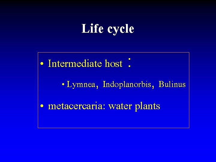 Life cycle • Intermediate host : • Lymnea, Indoplanorbis, Bulinus • metacercaria: water plants