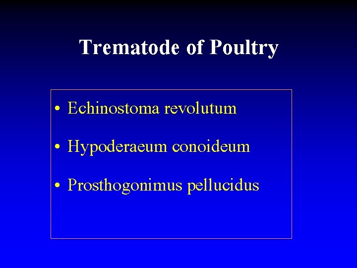 Trematode of Poultry • Echinostoma revolutum • Hypoderaeum conoideum • Prosthogonimus pellucidus 