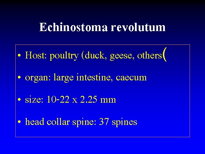 Echinostoma revolutum • Host: poultry (duck, geese, others( • organ: large intestine, caecum •