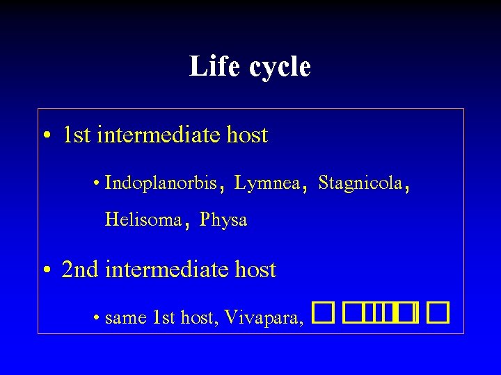 Life cycle • 1 st intermediate host • Indoplanorbis, Lymnea, Stagnicola, Helisoma, Physa •