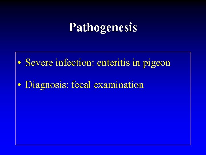 Pathogenesis • Severe infection: enteritis in pigeon • Diagnosis: fecal examination 