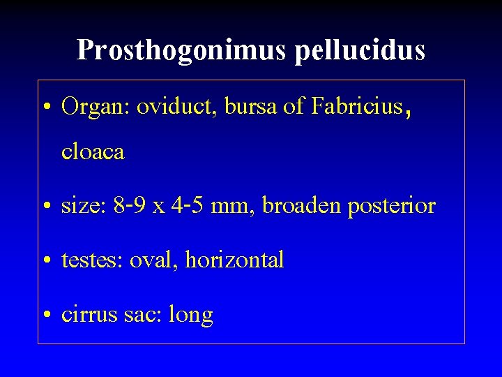 Prosthogonimus pellucidus • Organ: oviduct, bursa of Fabricius, cloaca • size: 8 -9 x