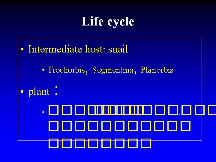 Life cycle • Intermediate host: snail • Trochoibis, Segmentina, Planorbis • plant : •