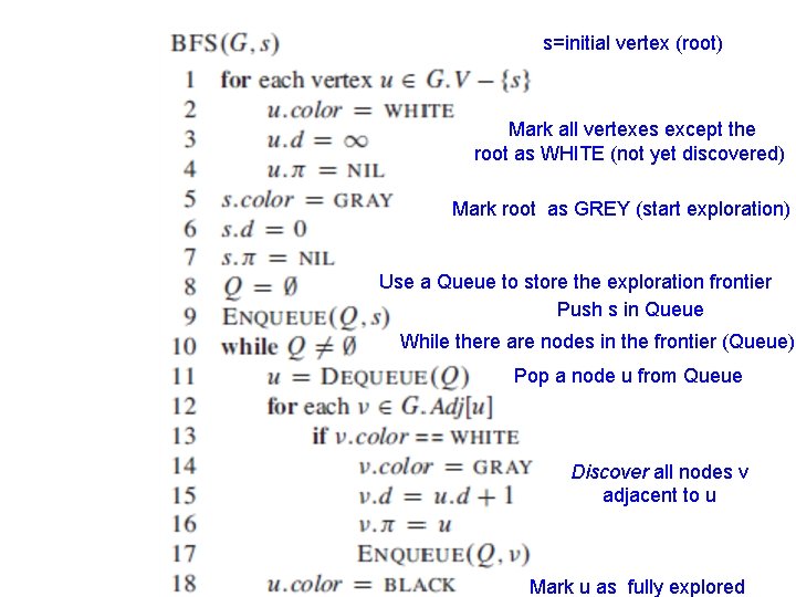 s=initial vertex (root) Mark all vertexes except the root as WHITE (not yet discovered)