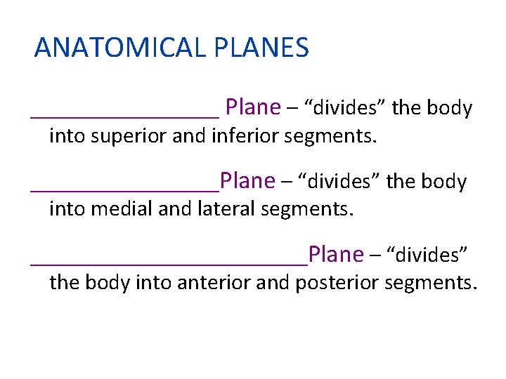 ANATOMICAL PLANES ________ Plane – “divides” the body into superior and inferior segments. ________Plane
