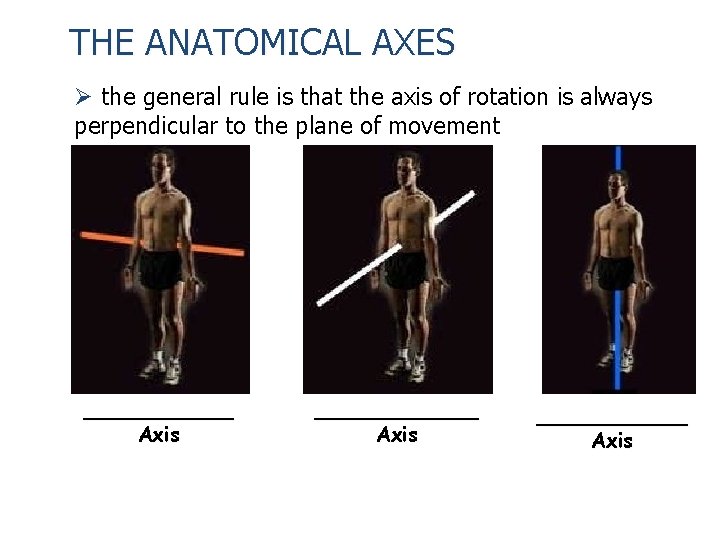 THE ANATOMICAL AXES Ø the general rule is that the axis of rotation is