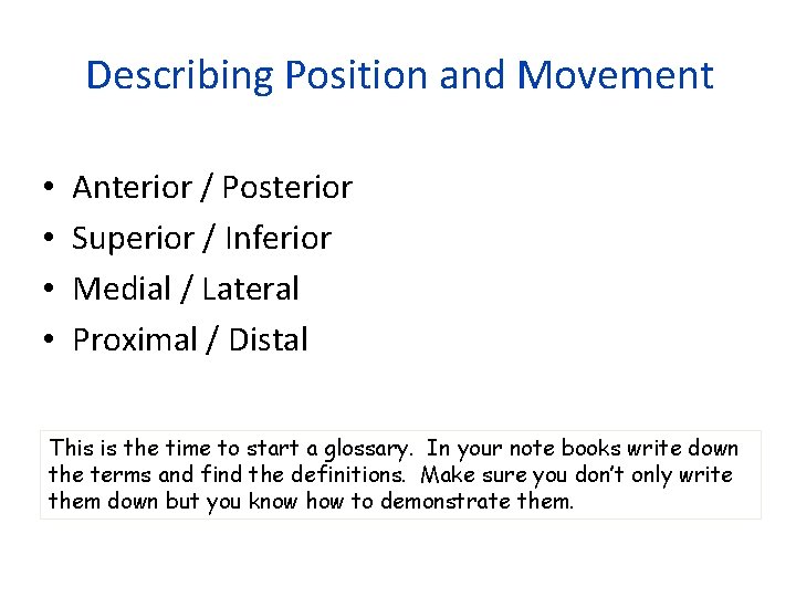 Describing Position and Movement • • Anterior / Posterior Superior / Inferior Medial /