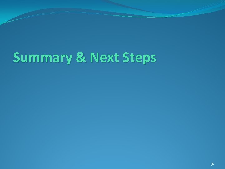 Summary & Next Steps 31 