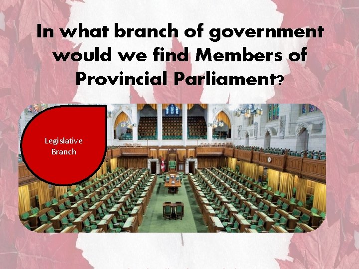 In what branch of government would we find Members of Provincial Parliament? Legislative Branch