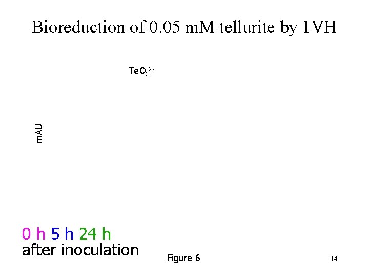 Bioreduction of 0. 05 m. M tellurite by 1 VH m. AU Te. O