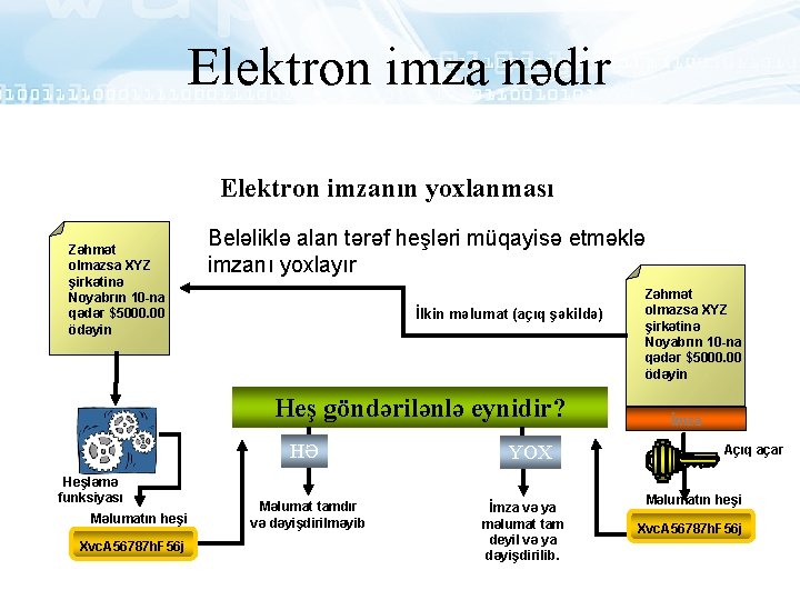 Elektron imza nədir Elektron imzanın yoxlanması Zəhmət olmazsa XYZ şirkətinə Noyabrın 10 -na qədər