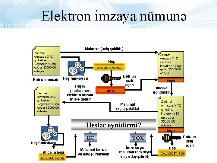 Elektron imzaya nümunə Məlumat (açiq şəkildə) Zəhmət olmazsa XYZ şirkətinə Noyabrın 10 -na qədər