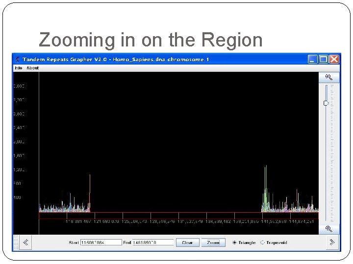 Zooming in on the Region 