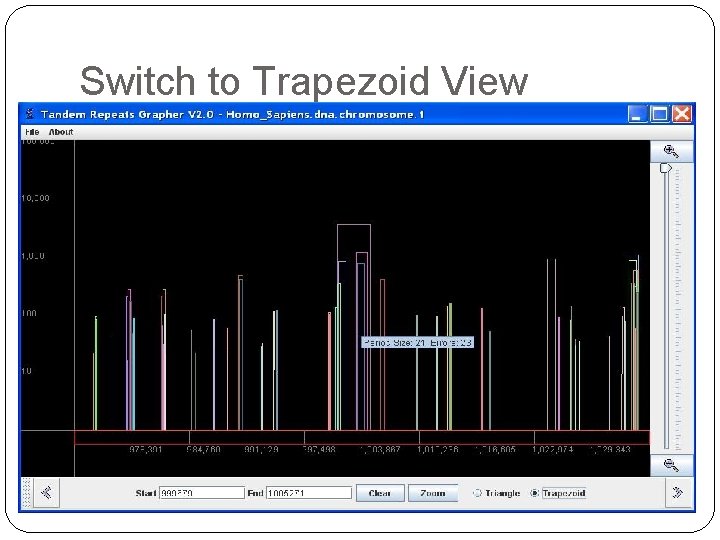 Switch to Trapezoid View 