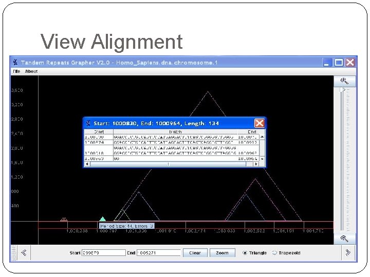 View Alignment 