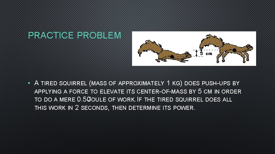 PRACTICE PROBLEM • A TIRED SQUIRREL (MASS OF APPROXIMATELY 1 KG) DOES PUSH-UPS BY