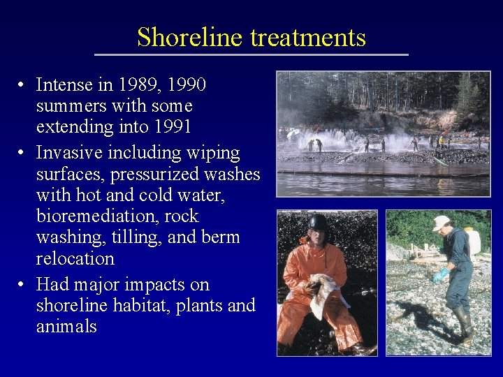 Shoreline treatments • Intense in 1989, 1990 summers with some extending into 1991 •