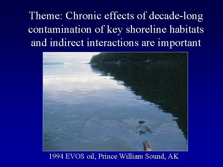 Theme: Chronic effects of decade-long contamination of key shoreline habitats and indirect interactions are