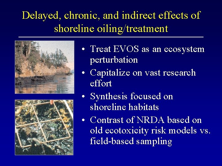 Delayed, chronic, and indirect effects of shoreline oiling/treatment • Treat EVOS as an ecosystem