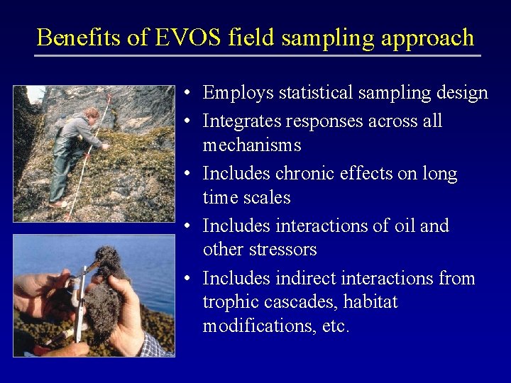 Benefits of EVOS field sampling approach • Employs statistical sampling design • Integrates responses