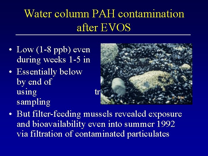 Water column PAH contamination after EVOS • Low (1 -8 ppb) even during weeks