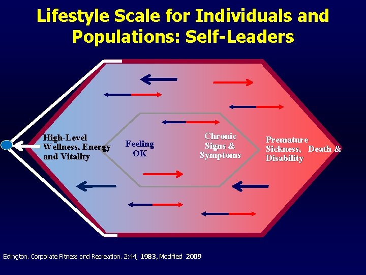 Lifestyle Scale for Individuals and Populations: Self-Leaders High-Level Wellness, Energy and Vitality Feeling OK