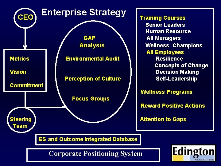 CEO Enterprise Strategy GAP Analysis Metrics Environmental Audit Vision Perception of Culture Training Courses
