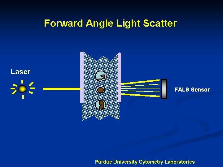 Forward Angle Light Scatter Laser FALS Sensor Purdue University Cytometry Laboratories 
