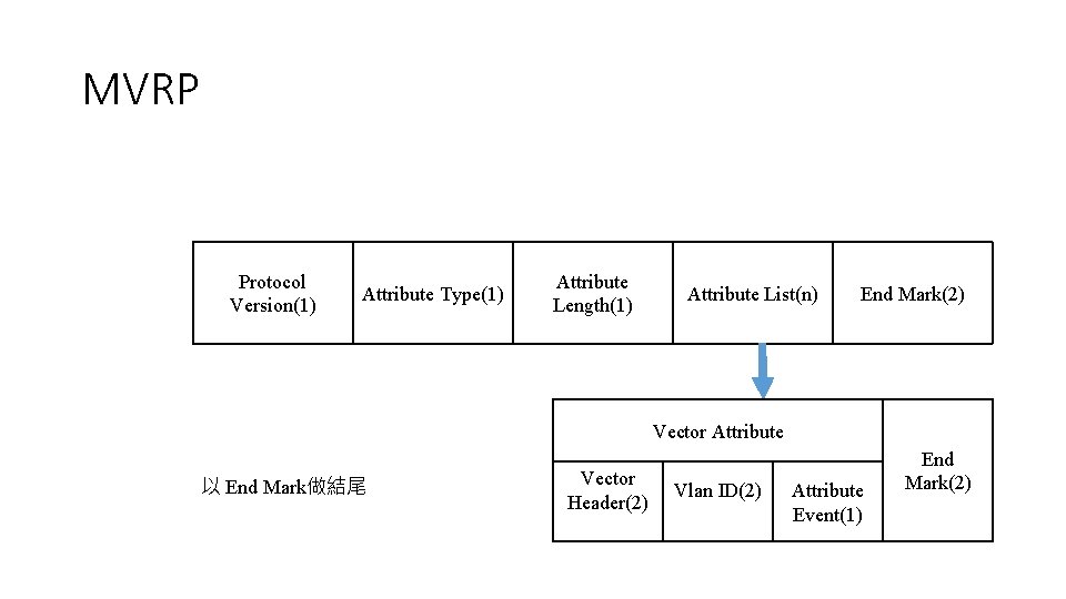 MVRP Protocol Version(1) Attribute Type(1) Attribute Length(1) Attribute List(n) End Mark(2) Vector Attribute 以