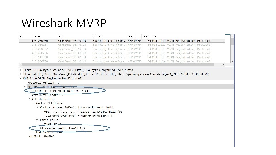 Wireshark MVRP 
