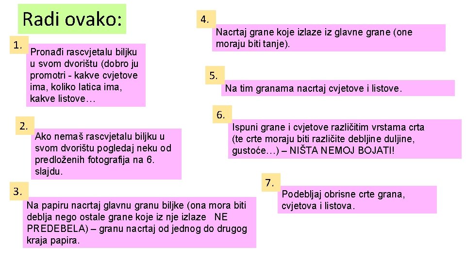 Radi ovako: 1. Pronađi rascvjetalu biljku u svom dvorištu (dobro ju promotri - kakve