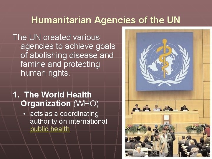 Humanitarian Agencies of the UN The UN created various agencies to achieve goals of