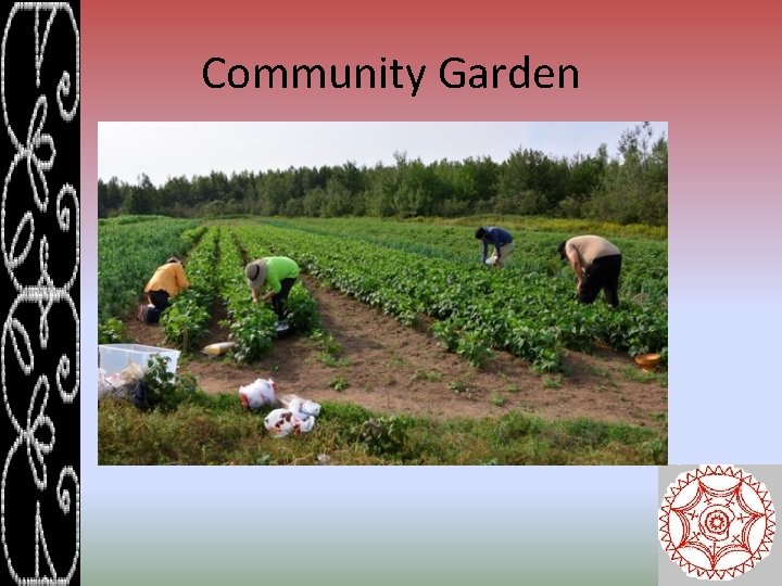 Community Garden 